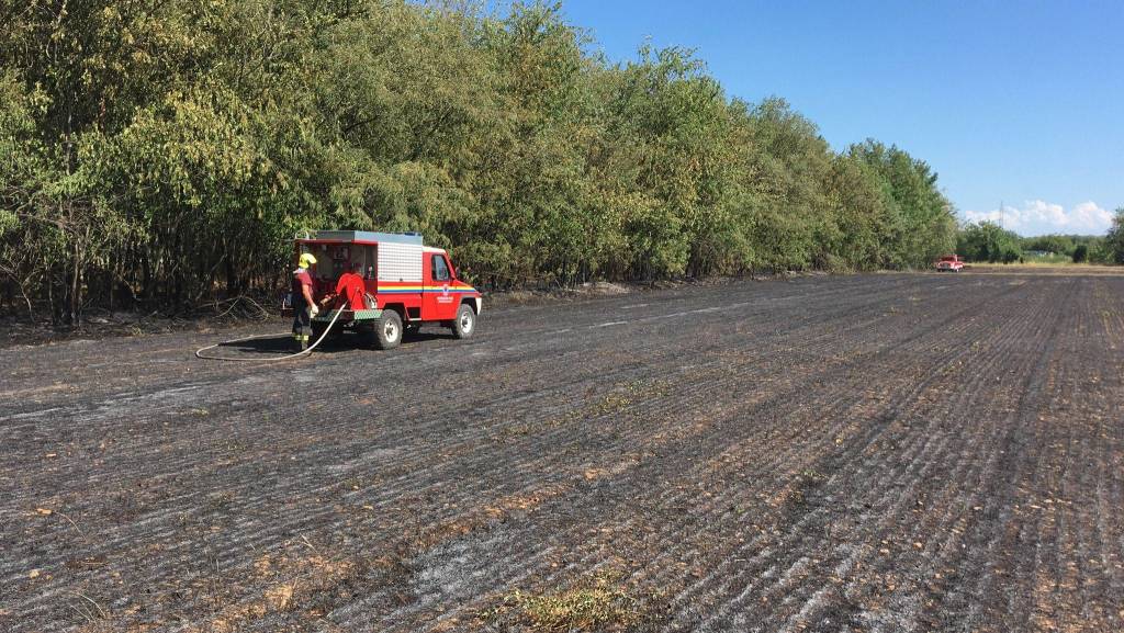 Incendio a Dairago, bruciato un campo da 30mila metri quadri