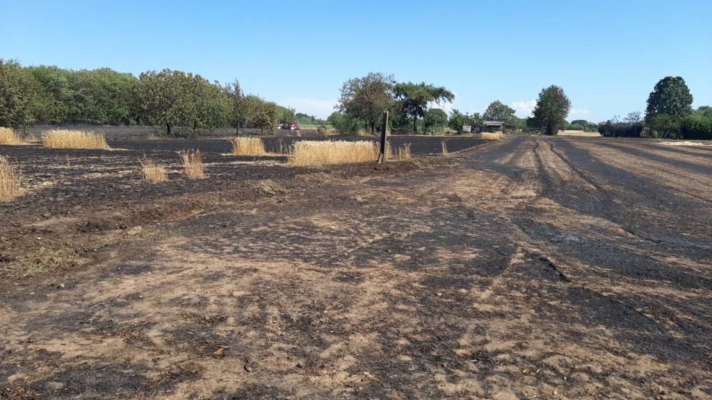 Incendio a Dairago, bruciato un campo da 30mila metri quadri