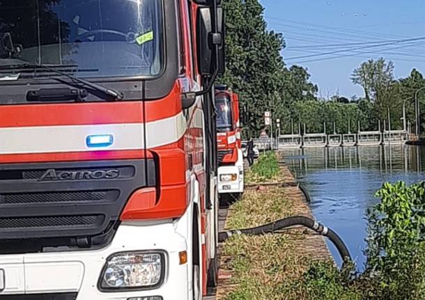 Incendio a Dairago, bruciato un campo da 30mila metri quadri