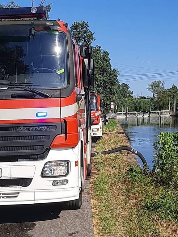 Incendio a Dairago, bruciato un campo da 30mila metri quadri