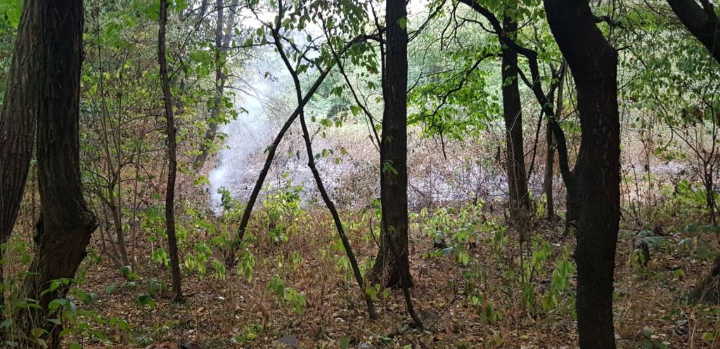 Incendio al Parco Alto Milanese 25 luglio