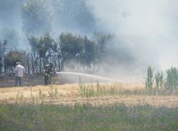 incendio campi gerenzano