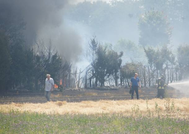 Incendio campi a Gerenzano