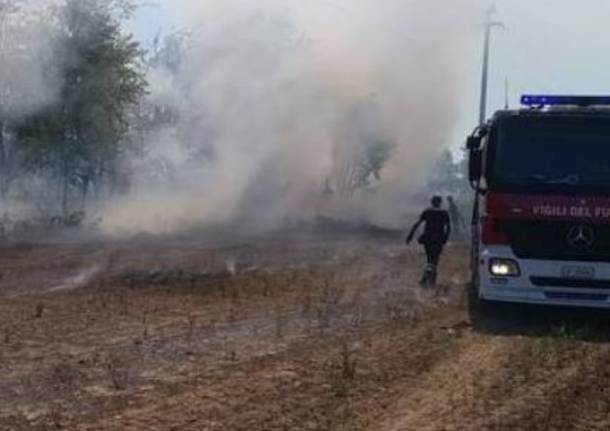 incendio sterpaglie
