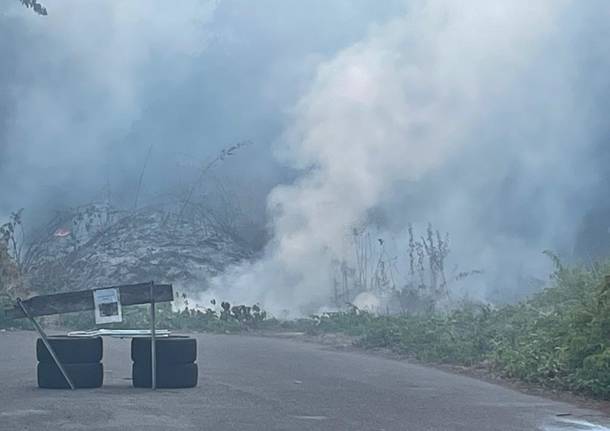 incendio sterpaglie Parco Alto Milanese