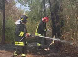 Incendio vicino alla ferrovia tra Vanzago e Parabiago 