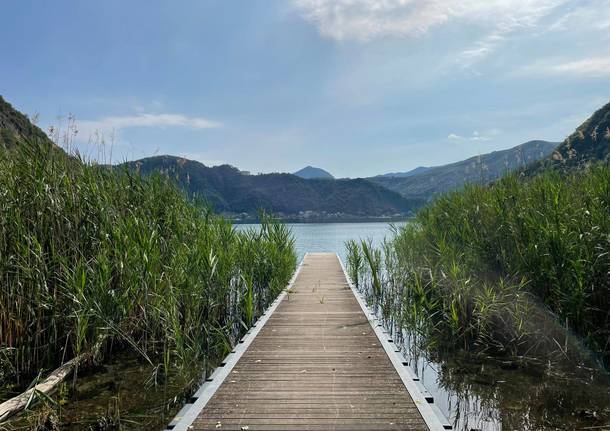 Interventi riqualificazione Lago Ceresio