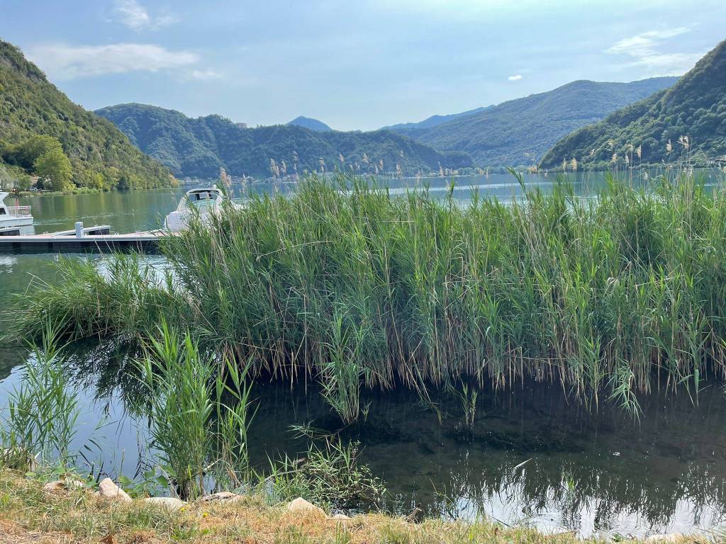 Interventi riqualificazione Lago Ceresio