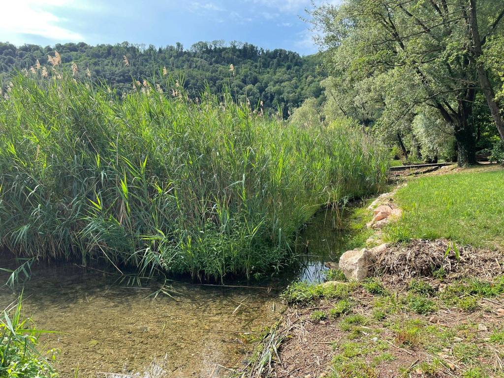 Interventi riqualificazione Lago Ceresio