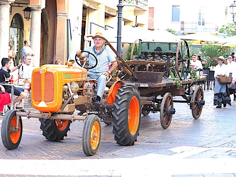 La sfilata storica per le vie di Saronno col Gruppo Sant’Antoni da Saronn