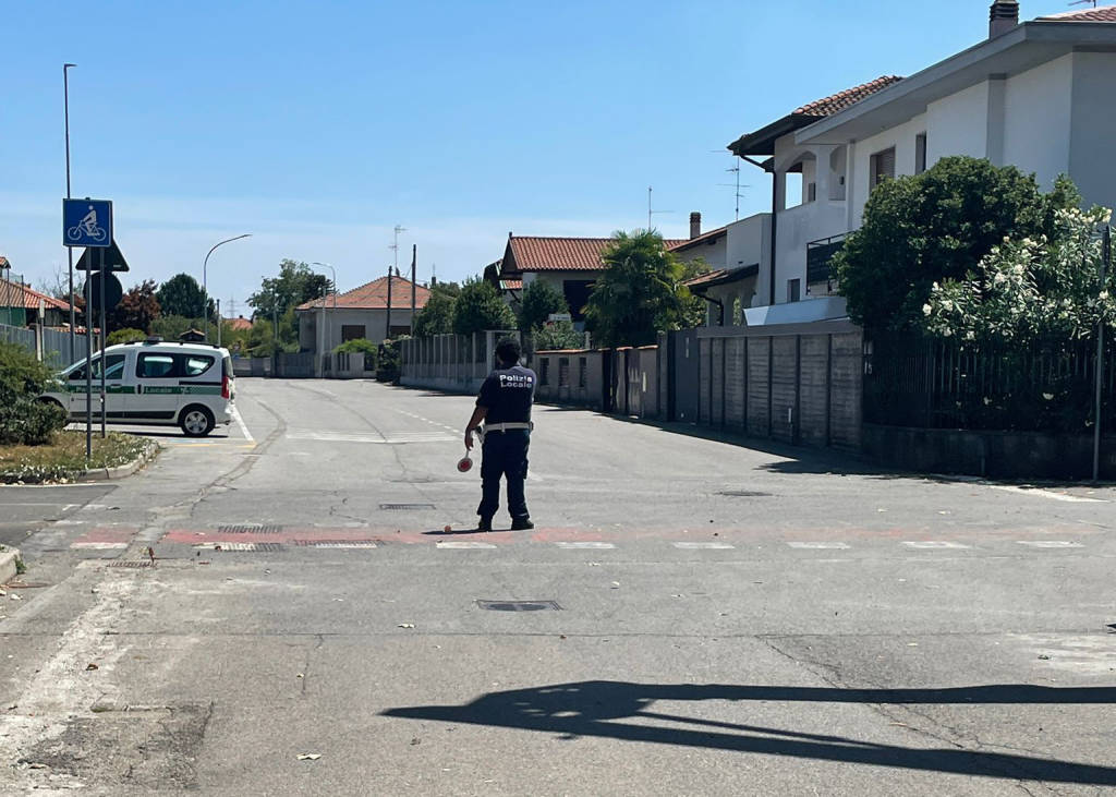 Maltempo nell'Alto Milanese, albero cade sul tetto di una scuola a Buscate