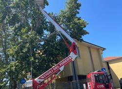 Maltempo nell'Alto Milanese, albero cade sul tetto di una scuola a Buscate