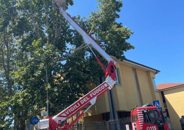 Maltempo nell'Alto Milanese, albero cade sul tetto di una scuola a Buscate