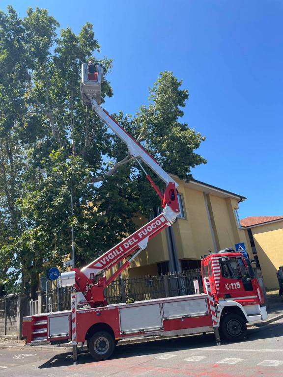Maltempo nell'Alto Milanese, albero cade sul tetto di una scuola a Buscate