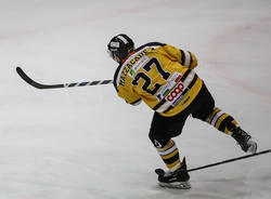 michael mazzacane mastini hockey