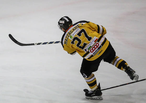michael mazzacane mastini hockey