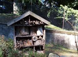 outdoor education scuola bosco varese