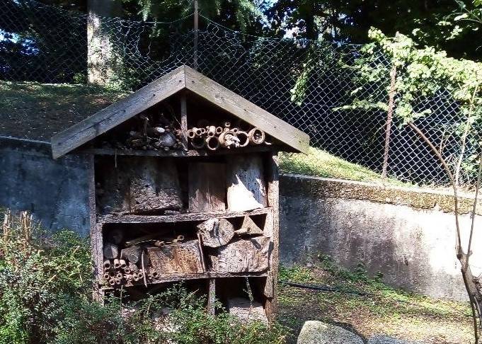 outdoor education scuola bosco varese