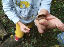 outdoor education scuola bosco varese