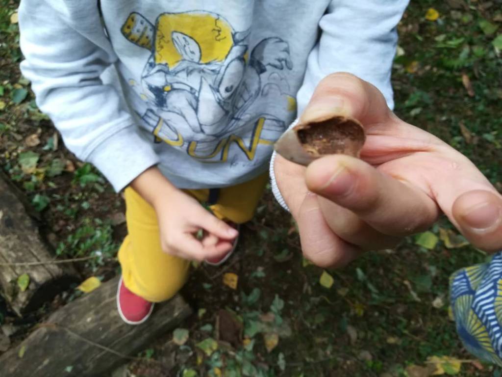 outdoor education scuola bosco varese