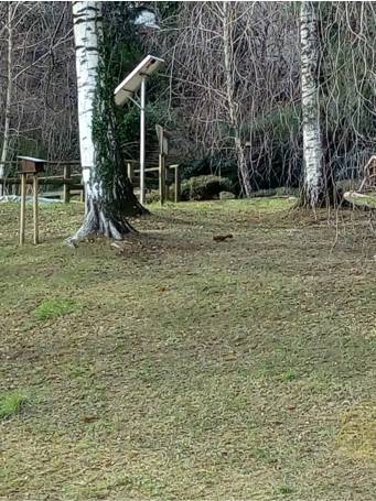 outdoor education scuola bosco varese