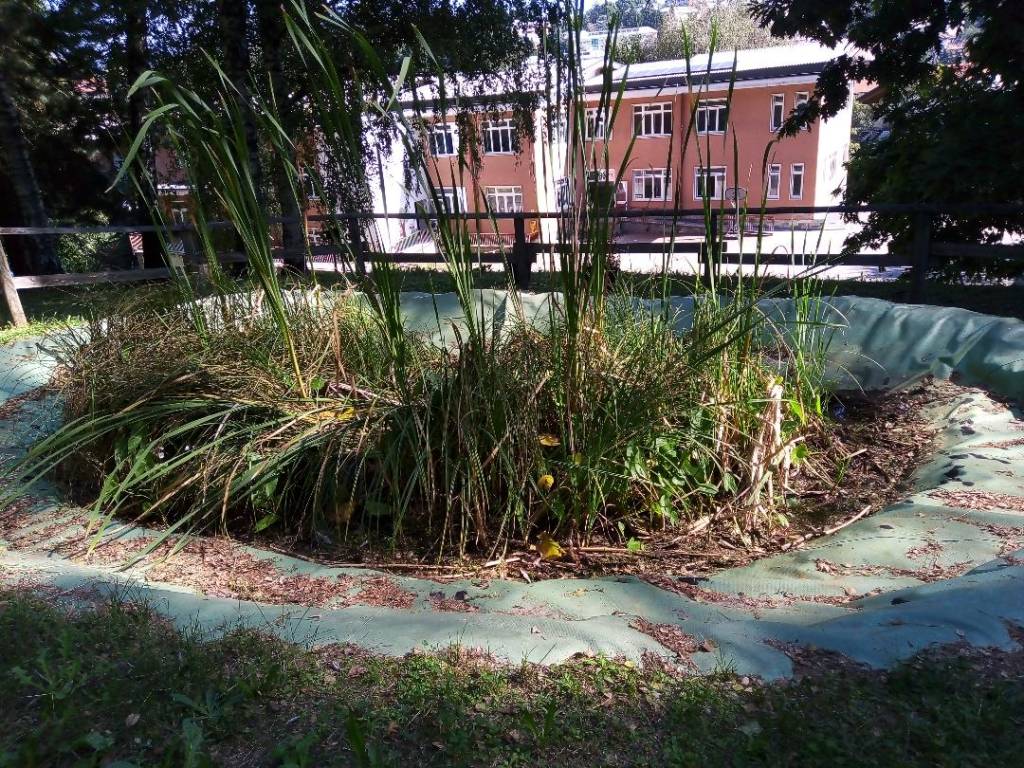 outdoor education scuola bosco varese