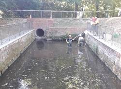 Parco dei Mughetti e Protezione civile in azione al Fontanile di San Giacomo