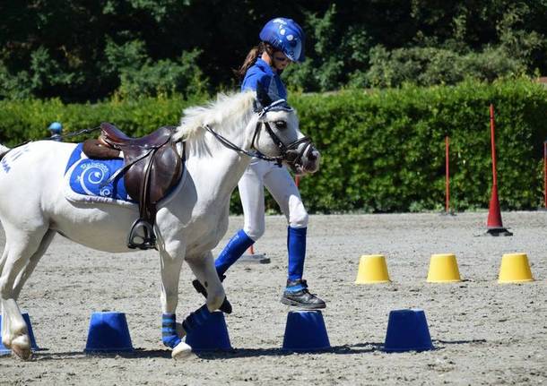 pony games e volteggio al centro equestre Peter Pan di Tradate