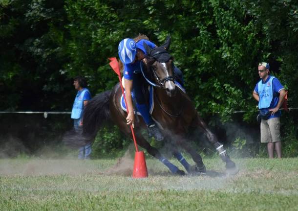 pony games e volteggio al centro equestre Peter Pan di Tradate