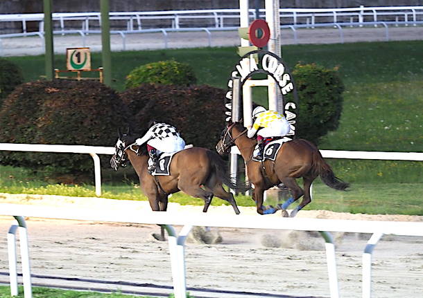 Premio Ermolli all'Ippodromo Le Bettole