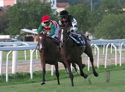 Tanta gente all’Ippodromo Le Bettole sabato 9 luglio