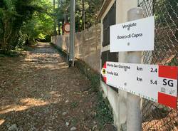 Vergiate tour 2022 i luoghi