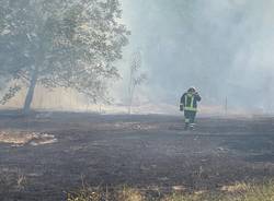 A fuoco un campo tra le case di Gazzada Schianno