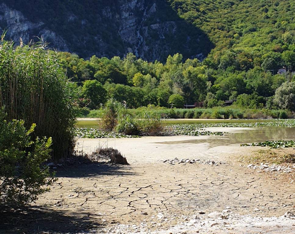 Arcisate - Il laghetto Cicogna asciutto