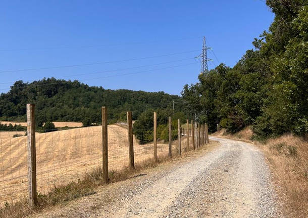 barriere artificiali contro i cinghiali e la peste suina