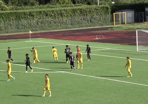Calcio lilla