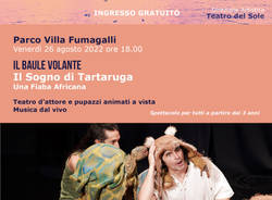 Il sogno di tartaruga