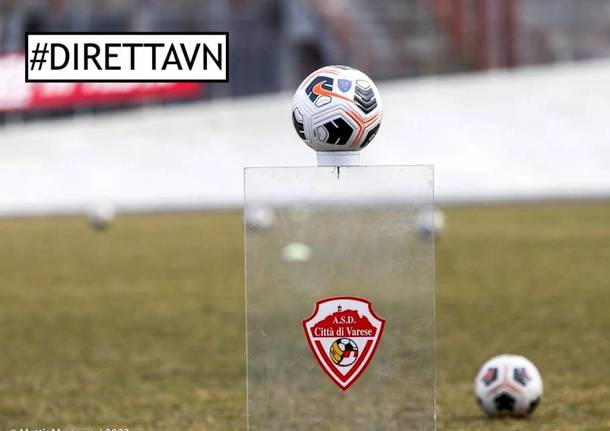 diretta calcio varese