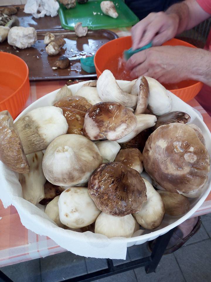 Festa del Fungo di Cunardo