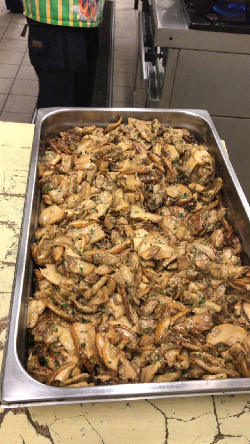 Festa del Fungo di Cunardo