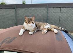 Generico 22 Aug 2022