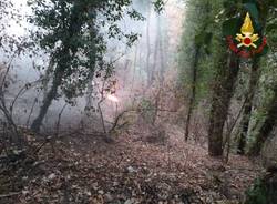 incendio Golasecca