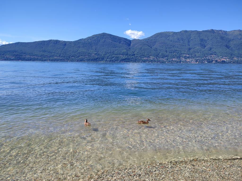 La spiaggia a Portovaltravaglia - foto di Marzia Malesani