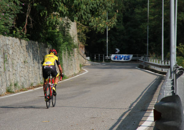 piccolo stelvio