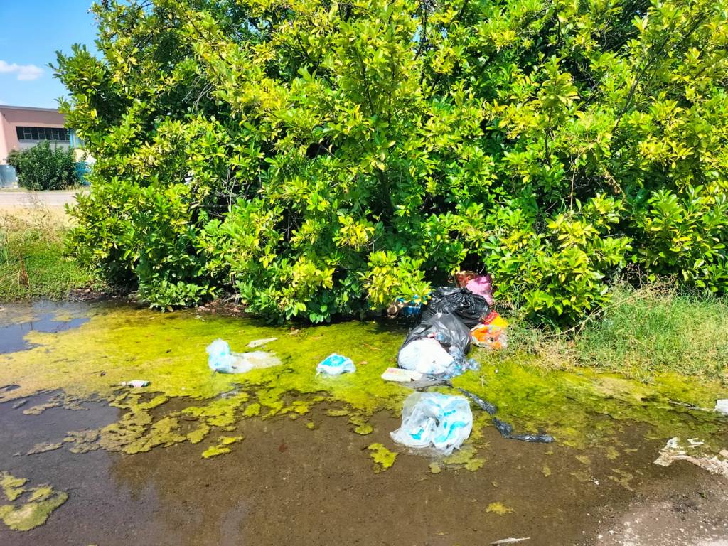 Rifiuti abbandonati in zona industriale a Nerviano