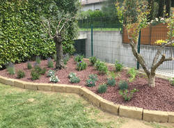 Agricola Bellavista, Varese