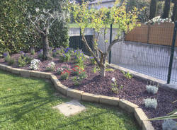 Agricola Bellavista, Varese