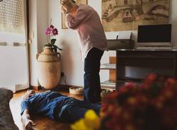 Ambrogio, connesso per assisterti