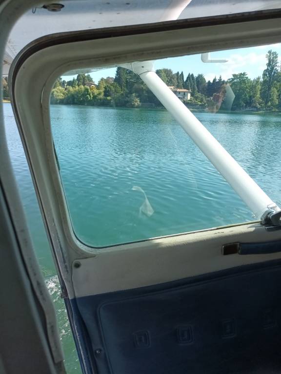 Angera e Sesto Calende dall'idrovolante