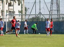 calcio città di varese